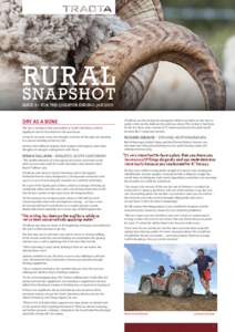 RURAL  SNAPSHOT ISSUE 8 • FOR THE QUARTER ENDING JANDRY AS A BONE