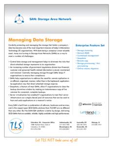 SAN: Storage Area Network  Managing Data Storage Carefully protecting and managing the storage that holds a companys data has become one of the most important missions of todays Information Technology (IT) organizati
