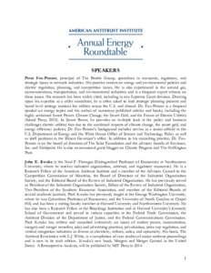 United States Department of Justice Antitrust Division / Independent Power Producer / Energy law / Competition law / Smart grid / Demand response / Technology / David S. Evans / Jon Wellinghoff / Energy / Electric power / Federal Energy Regulatory Commission