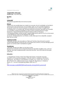 Microsoft Word - Guignardia citricarpa_versie 1.doc
