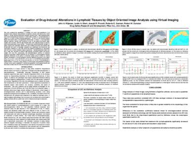 Evaluation of Drug-Induced Alterations in Lymphoid Tissues by Object Oriented Image Analysis using Virtual Imaging John A. Wijsman, Leslie A. Obert, Joseph R. Piccotti, Roberto E. Guzman, Robert W. Dunstan Drug Safety Re