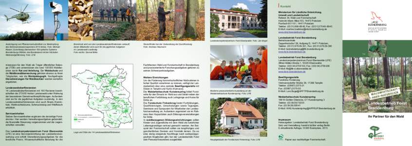 Kontakt Ministerium für Ländliche Entwicklung, Umwelt und Landwirtschaft Referat 34, Wald und Forstwirtschaft Heinrich-Mann Allee 103, 14473 Potsdam Postfach 60 11 61, 14411 Potsdam