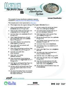 Example Classiﬁcation System This example of Linnean classiﬁcation emphasizes organisms mentioned in Ukaliq: The Arctic Hare (http://nature.ca/ukaliq).