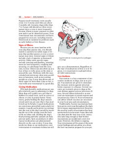 5608_01_001-004.fm Page 12 Monday, August 13, 2007 2:26 PM  12 Section 1 DOG BASICS