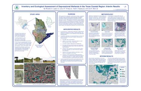 Inventory and Ecological Assessment of Depressional Wetlands in the Texas Coastal Region: Interim Results By Ricardo D. Lopez (1), Larry R. Tinney (2), Todd D. Sajwaj (2), and Lee A. Bice (2) PURPOSE  STUDY AREA