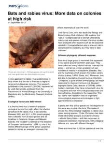 Bats and rabies virus: More data on colonies at high risk