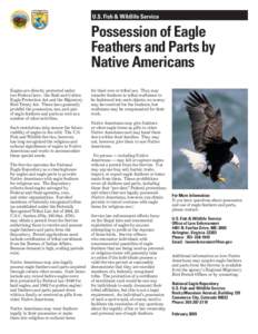 U.S. Fish & Wildlife Service  Possession of Eagle Feathers and Parts by Native Americans Eagles are directly protected under