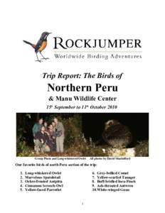 Trip Report: The Birds of  Northern Peru & Manu Wildlife Center 15h September to 11th October 2010