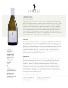 TASTING NOTES[removed]ALBARIÑO Originally thought to have been brought to the Iberian Peninsula during the 12th century by Cistercian monks, the name Alba-Riño means “from the Rhine”. Today, Albariño is widely plant