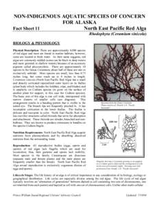 NON-INDIGENOUS AQUATIC SPECIES OF CONCERN FOR ALASKA Fact Sheet 11 North East Pacific Red Alga Rhodophyta (Ceramium sinicola) BIOLOGY & PHYSIOLOGY