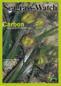 Issue 36 March[removed]Seagrass-Watch The official magazine of the Seagrass-Watch global assessment and monitoring program  Carbon