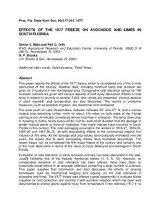 Effects of the 1977 Freeze on Avocados and Limes in South Florida