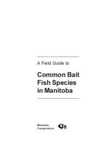 A Field Guide to  Common Bait Fish Species in Manitoba