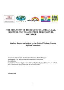 HUMAN RIGHTS SITUATION OF LESBIAN, GAY, BISEXUAL AND TRANSGENDER PERSONS IN EL SALVADOR