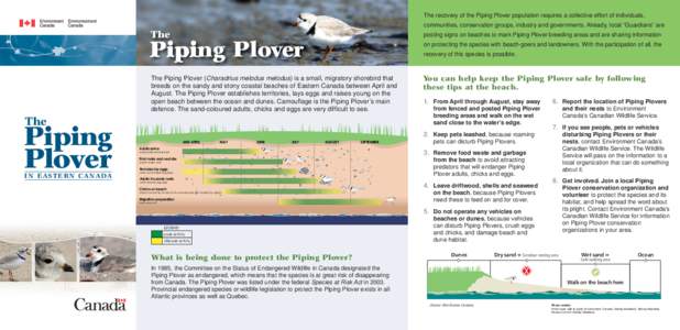 The recovery of the Piping Plover population requires a collective effort of individuals, communities, conservation groups, industry and governments. Already, local “Guardians” are The  posting signs on beaches to ma