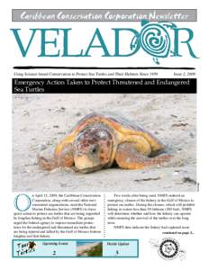 Caribbean Conservation Corporation Newsletter  Using Science-based Conservation to Protect Sea Turtles and Their Habitats Since 1959 Issue 2, 2009