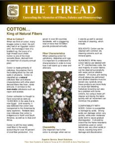 The Thread Unraveling the Mysteries of Fibers, Fabrics and Floorcoverings COTTON… King of Natural Fibers What Is Cotton?