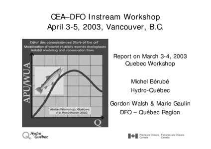 CEA–DFO Instream Workshop April 3-5, 2003, Vancouver, B.C. Report on March 3-4, 2003 Quebec Workshop Michel Bérubé