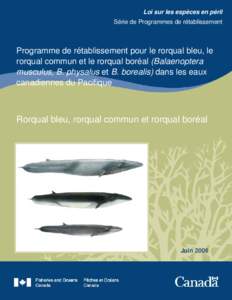 Programme de rétablissement pour le rorqual bleu, le rorqual commun et le rorqual boréal dans les eaux canadiennes du Pacifique