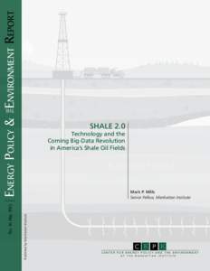 Energy Policy & Environment Report  Technology and the Coming Big-Data Revolution in America’s Shale Oil Fields