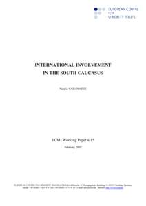 INTERNATIONAL INVOLVEMENT IN THE SOUTH CAUCASUS Natalie SABANADZE  ECMI Working Paper # 15