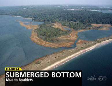 Habitat  Submerged Bottom Mud to Boulders  Connecticut