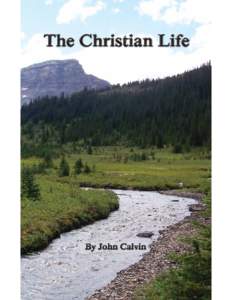 About the cover: Taken in the Canadian Rockies the cover represents the goal at which the Christian life aims. Along the way many obstacles will hinder our slow and sometimes painful progress. Sometimes we travel under 