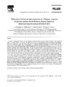 P AE0 ELSEVIER Palaeogeography, Palaeoclimatology, Palaeoecology[removed]95  Palaeoenvironmental interpretation of a Triassic-Jurassic