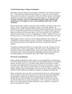 AVSAB Position Paper on Puppy Socialization The primary and most important time for puppy socialization is the first three months of life.1, 2 During this time puppies should be exposed to as many new people, animals, st