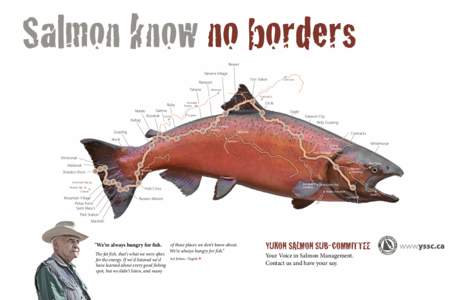 Salmon know no borders Beaver Stevens Village Fort Yukon