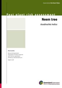 Pest plant risk assessment:Neem tree—Azadirachta indica