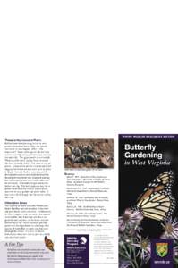 Be patient; developing your garden and attracting butterflies takes time, several years is not uncommon. Butterflies are sensitive to herbicides and pesticides; avoid using chemicals in your yard.