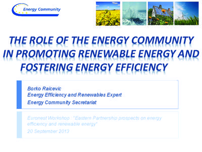 THE ROLE OF THE ENERGY COMMUNITY IN PROMOTING RENEWABLE ENERGY AND FOSTERING ENERGY EFFICIENCY Borko Raicevic Energy Efficiency and Renewables Expert Energy Community Secretariat