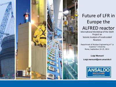 •  Future of LFR in Europe the ALFRED reactor
