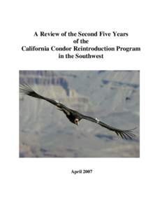 United States / Conservation in the United States / Conservation / California Condor / Condor / The Peregrine Fund / World Center for Birds of Prey / Endangered Species Act / Reintroduction / Cathartidae / New World vultures / Environment of the United States
