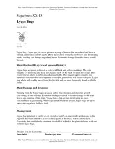 Microsoft Word - LygusBugs-Sugarbeets.doc