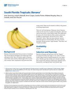 FCS8514  South Florida Tropicals: Banana1 Amy Simonne, Linda B. Bobroff, Anne Cooper, Sandra Poirier, Mildred Murphy, Mary Jo Oswald, and Chris Procise2