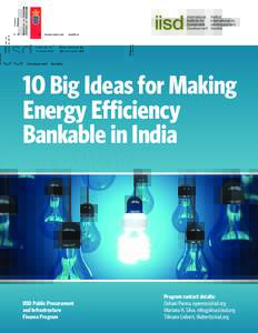 10 Big Ideas for Making Energy Efficiency Bankable in India IISD Public Procurement and Infrastructure