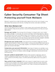 Cyber Security Consumer Tip Sheet Protecting yourself from Malware Malware is a general term to describe destructive programs that can harm your computer or any other device that connects to the Internet, including smart