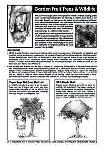 Garden Fruit Trees & Wildlife With our ever-changing urban landscape native wildlife have been adapting, and to some extent becoming dependent on flowering and fruiting trees grown in our backyards. Drought, tree clearin