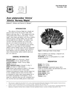 Fact Sheet ST-29 November 1993 Acer platanoides ‘Almira’ ‘Almira’ Norway Maple1 Edward F. Gilman and Dennis G. Watson2