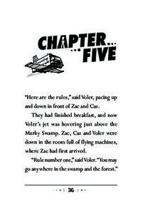 “Here are the rules,” said Voler, pacing up and down in front of Zac and Caz. They had finished breakfast, and now Voler’s jet was hovering just above the Murky Swamp. Zac, Caz and Voler were down in the room full 