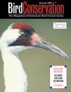 BirdConservation December 2005 The Magazine of American Bird Conservancy  SPECIAL
