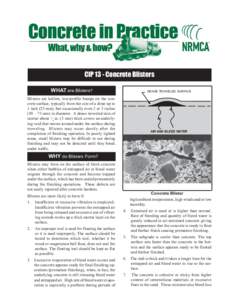 CIP 13 - Concrete Blisters WHAT are Blisters? DENSE TROWELED SURFACE  Blisters are hollow, low-profile bumps on the concrete surface, typically from the size of a dime up to