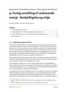 Baggrundsnotat • VedvarendeEnergi’s Energivision 