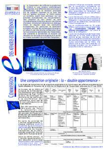 • La loi Pandraud du 10 juin 1994 a prévu que le Gouvernement communique à la Délégation « tout document nécessaire établi par les différentes institutions de l’Union européenne ». • La loi constitutionne