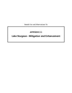 Appendix 2.1 Lake Sturgeon - Mitigation and Enhancement