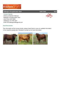 Eddington Droughtmaster Stud  Julia Creek Contact Details: Anthony & Rachel Anderson