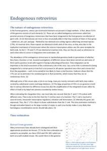 Endogenous retrovirus The nature of endogenous retrovirus In the human genome, various (pro-)retroviral elements are present in large numbers. In fact, about 5-8 % of the genome consists of such elements [1]. These are s