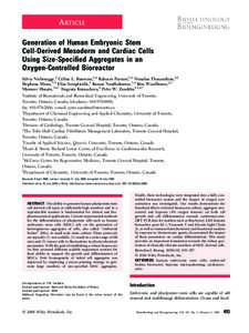 ARTICLE Generation of Human Embryonic Stem Cell-Derived Mesoderm and Cardiac Cells Using Size-Specified Aggregates in an Oxygen-Controlled Bioreactor Sylvia Niebruegge,1 Ce´line L. Bauwens,1,2 Raheem Peerani,1,2 Nimalan